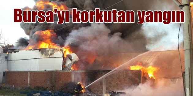 Bursa'yı korkutan yangın; Soğuk hava deposu alevlere teslim oldu