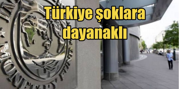 IMF Türkiye raporu yayınlandı; Şoklara rağmen direncini koruyor