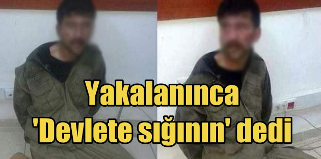 PKK'lı terörist böyle yalvardı; Devlete güvenin, devletten kopmayın