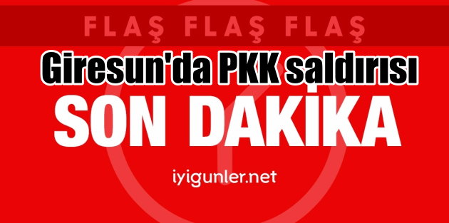 Giresun'da PKK saldırısı; Giresun ve Gümüşhane'de operasyon