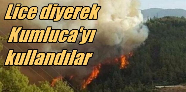 Lice diye Kumluca'daki orman yangını fotoğrafını kullandılar