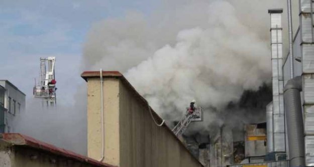 Pendik'te yangın; Sunni çim üreten fabrikada yangın çıktı
