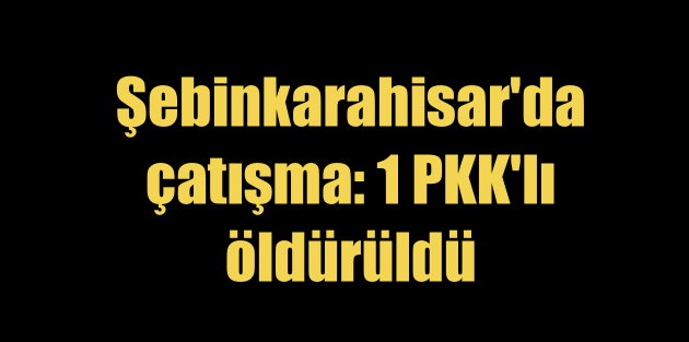 Şebinkarahisar'da çatışma çıktı, 1 PKK'lı terörist öldürüldü