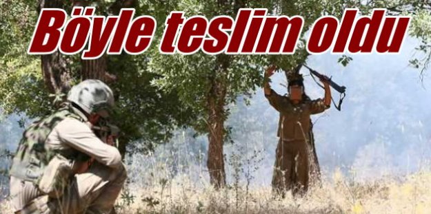 Örgüt yantaşları PKK'lı teröristleri kaçırmak için ormanı yakmış