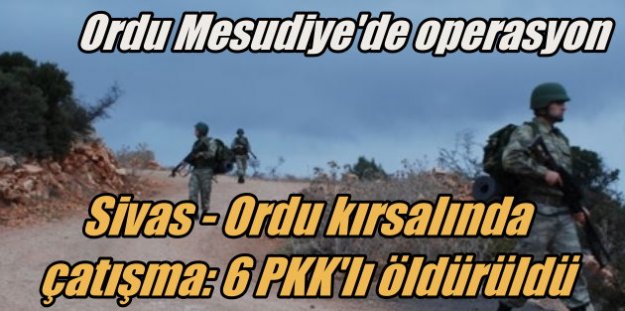 Ordu Mesudiye'de PKK operasyonu; 6 PKK'lı öldürüldü