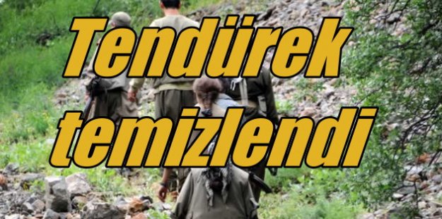PKK'nın Karadeniz kapısı kapanıyor: Tendürek temizlendi
