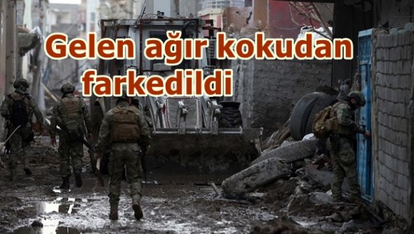 Polis şok oldu! PKK'lı teröristlerin cesetleri....