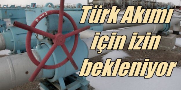 Türk Akımı için imzalar Ekim ayında atılıyor