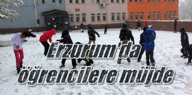 Erzurum'da okullar tatil; İl merkezinde de okullar tatil edildi