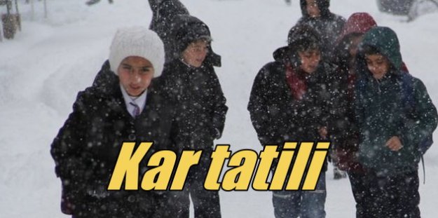 Şebinkarahisar'da okullar tatil; Karadinizde kar tatili