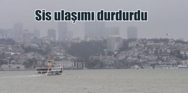 Sis İstanbul'da boğaz trafiğini kilitledi