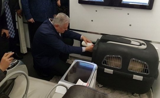 Başbakan Yıldırım'a kuzu hediye ettiler