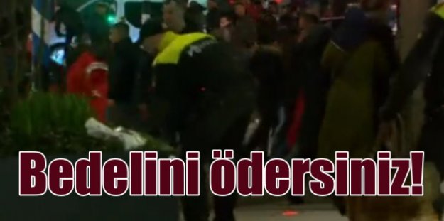 Hollanda'da köpekler vatandaşlarımıza saldırdı
