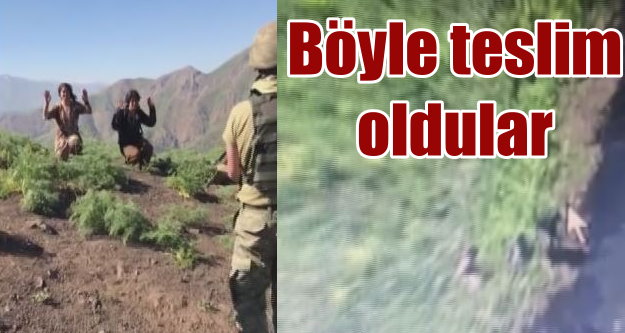 PKK'lı teröristler böyle teslim oldu