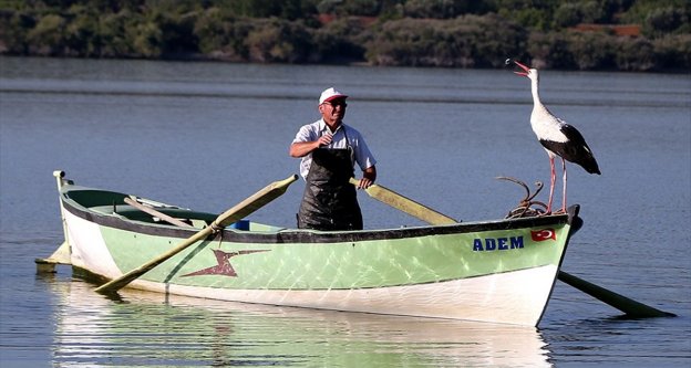 Balıkçı Adem ile leylek Yaren'in 6 yıllık dostluğu