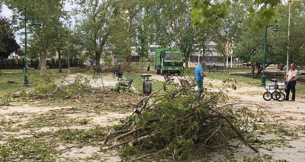 İstanbul'da fırtınanın devirdiği ağaçlar kaldırılıyor