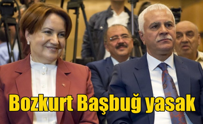 Akşener'in partisinde Bozkurt işareti ve Başbuğ yasağı