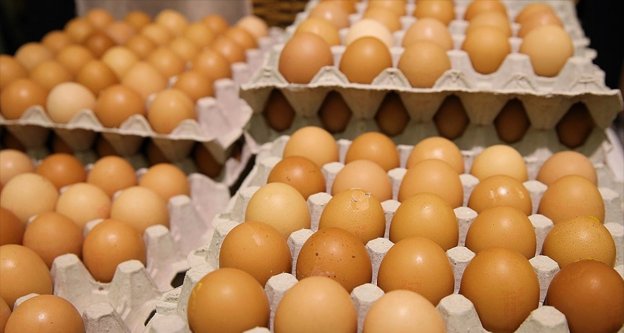 Hollanda hükümetinden 'ilaçlı yumurta' açıklaması