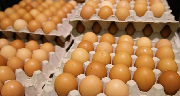 Türkiye, Avrupa'daki yumurta krizini izlemeye aldı