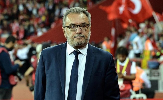 Ante Cacic: Türkiye hakkıyla gol attı