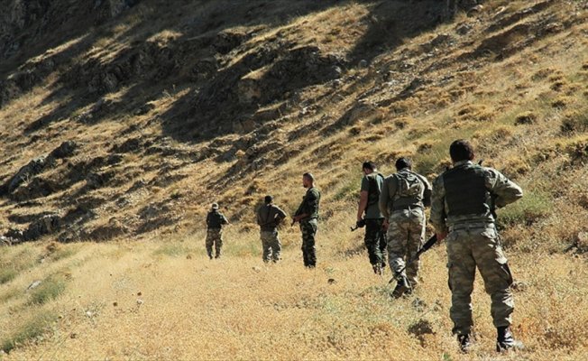 Bitlis'teki terör operasyonunda bir terörist etkisiz hale getirildi