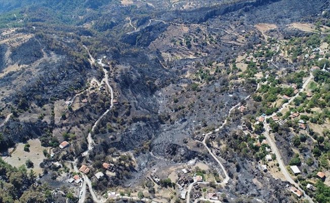 Orman yangınında zarar gören alanlar havadan görüntülendi