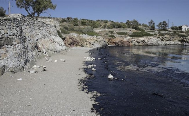 Yunan adasında çevre felaketi