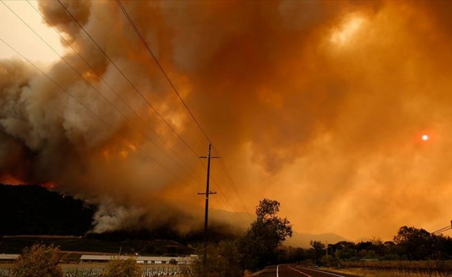 Kaliforniya'daki orman yangınları 6 bine yakın binayı tahrip etti