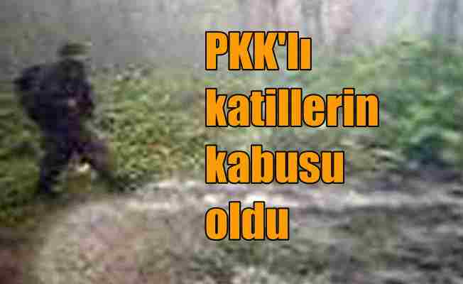 Fotokapanlar, PKK'lı teröristlerin kabusu haline geldi
