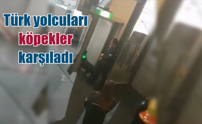 Düsseldorf havalimanında Türk yolculara köpekli arama