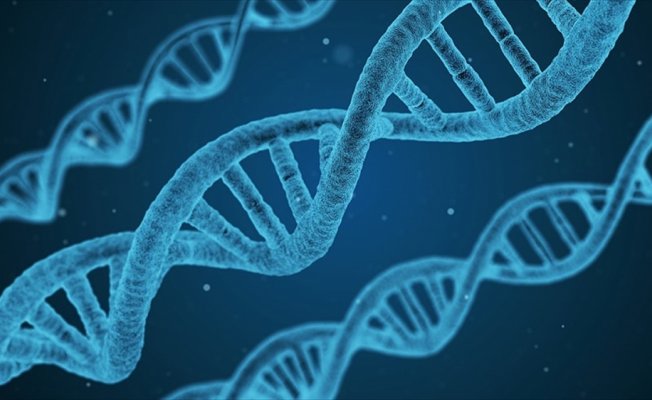 Türk bilim insanları neolitik dönemin DNA şifrelerini çözecek