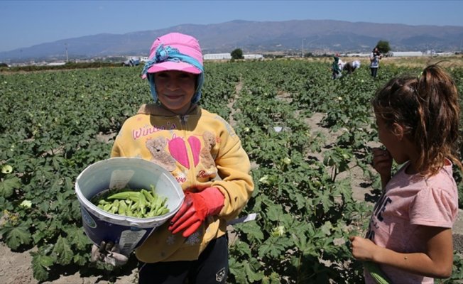 Başbakanlıktan 'çocuk işçiliği ile mücadele' genelgesi