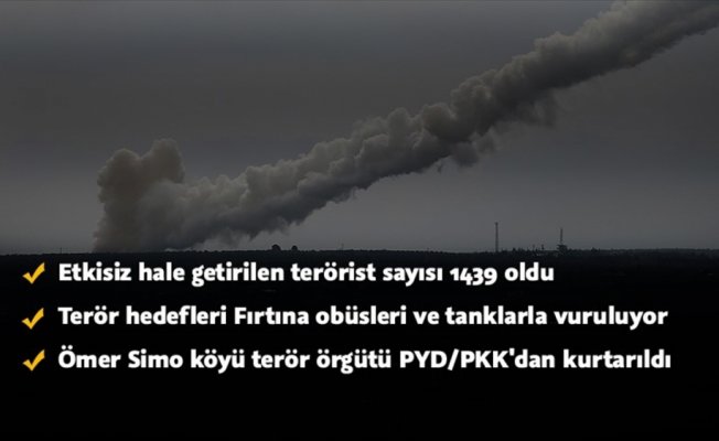Ömer Simo köyü PYD/PKK'dan temizlendi