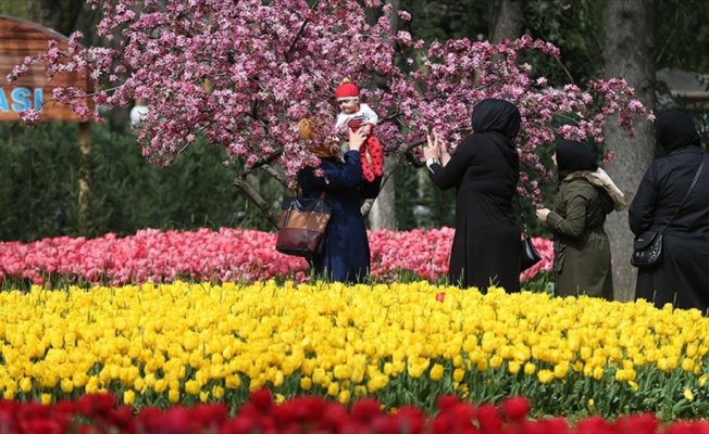 Bursa, 5 milyon çiçekle renklendi