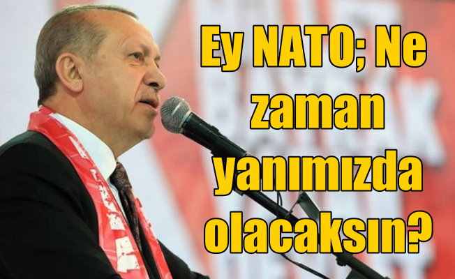Erdoğan, başını kuma gömen NATO'ya seslendi