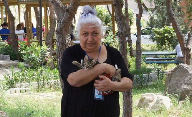 İzmir'in kedisever hemşiresi