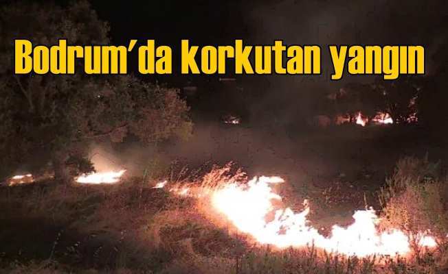 Bodrum Konacık'ta yangın evlerin etrafını sardı 