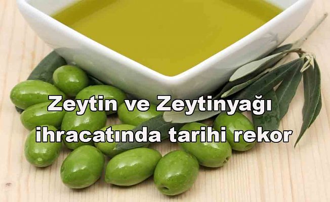 Zeytin ve Zeytinyağı ihracatında tarihi rekor