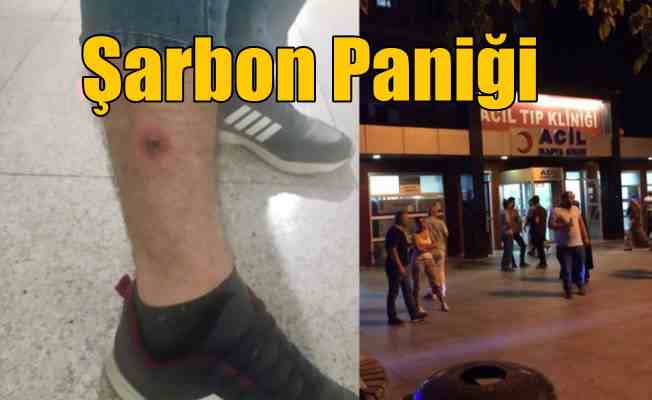 İstanbul'da şarbon alarmı: Vatandaşlar hastaneye akın etti