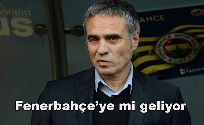 Fenerbahçe'de süpriz Ersun Yanal gelişmesi