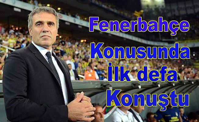 Yanal "Söz konusu Fenerbahçe ise ayrıntılar teferruattır."