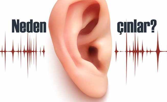 Kulak çınlamasının nedeni: Nikotin ve kafein kulak çınlamasını tetikliyor