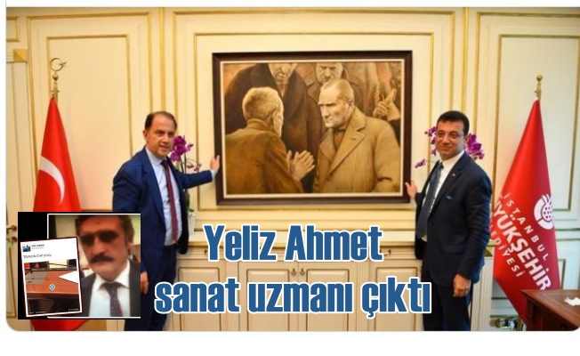 Yeliz Ahmet, sanat uzmanı kesildi