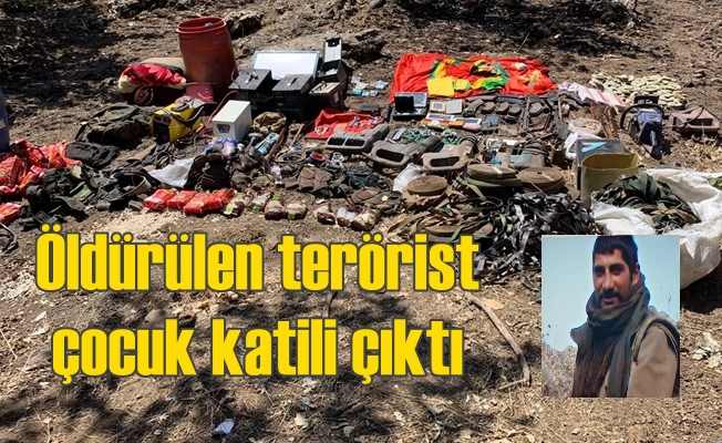 Öldürülen PKK'lı terörist çocuk katili çıktı