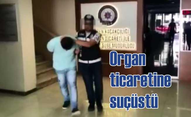 Organ kaçakçısı üç kişiye suçüstü