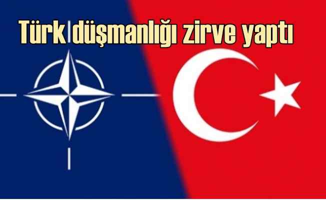 AB ülkeleri, Türkiye'nin NATO'dan çıkarılmasını istiyor 