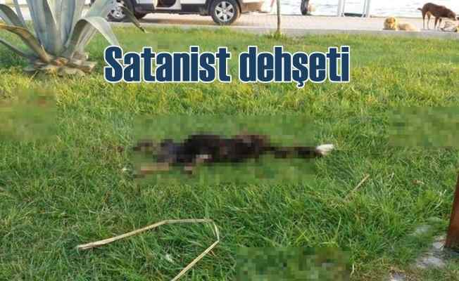 Bursa'da satanizm iddiası ortalığı karıştırdı