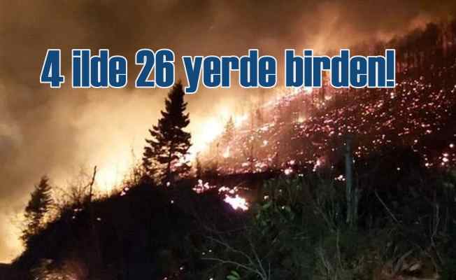 Karadeniz'i saran orman yangınları sabotaj mı?