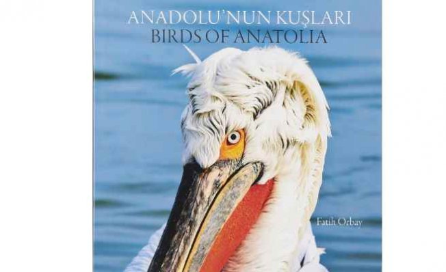 ‘Anadolu’nun Kuşları’ kitapçılarda