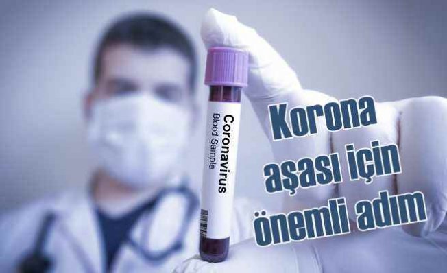 Koronovirüs aşısı için önemli iş birliği
